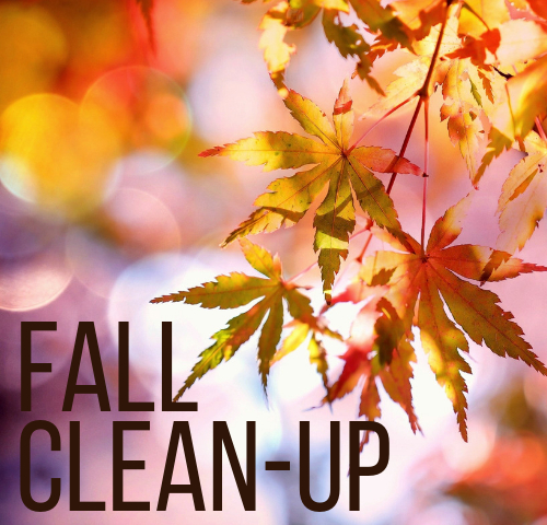 A photo of Fall leaves with the words Fall Clean-Up